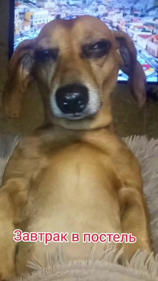 TikTok video thumbnail by _victor777_78