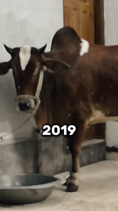 TikTok video thumbnail by abusindid