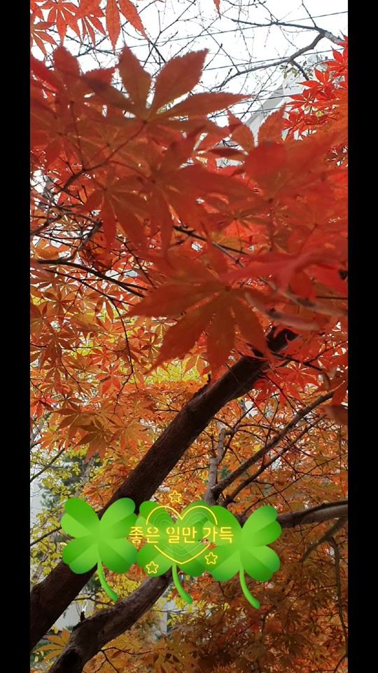 TikTok video thumbnail by user8566129211511