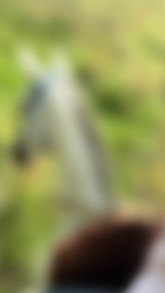 TikTok video thumbnail by vnalerio
