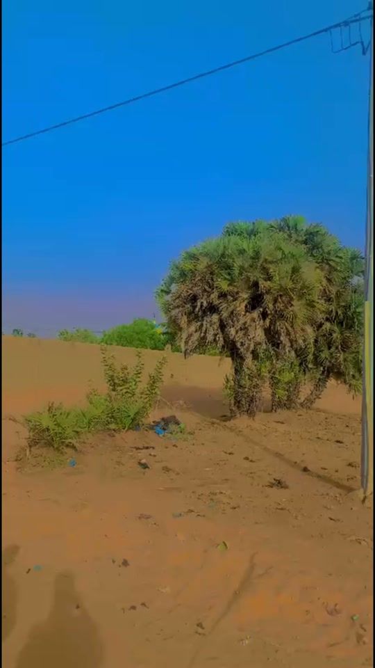 TikTok video thumbnail by deux_freres2