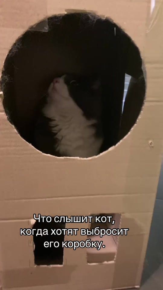 TikTok video thumbnail by mitiai_s