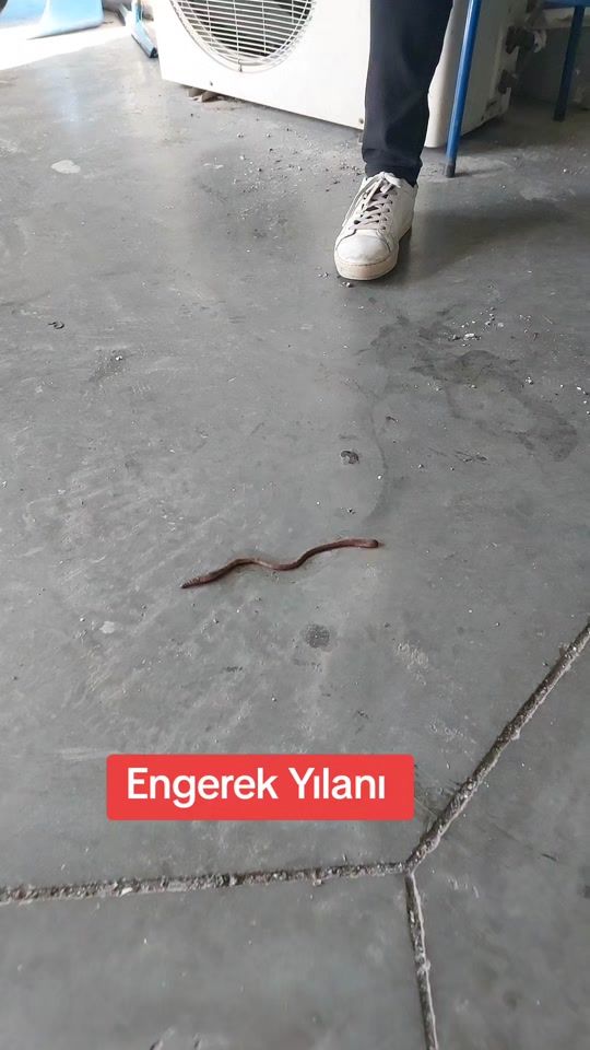 TikTok video thumbnail by ozkan72live