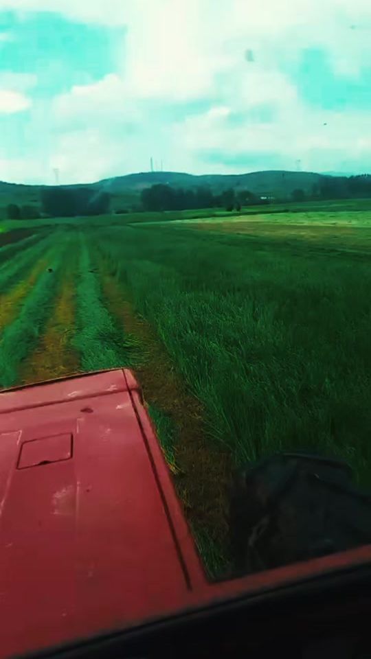 TikTok video thumbnail by enea.mo