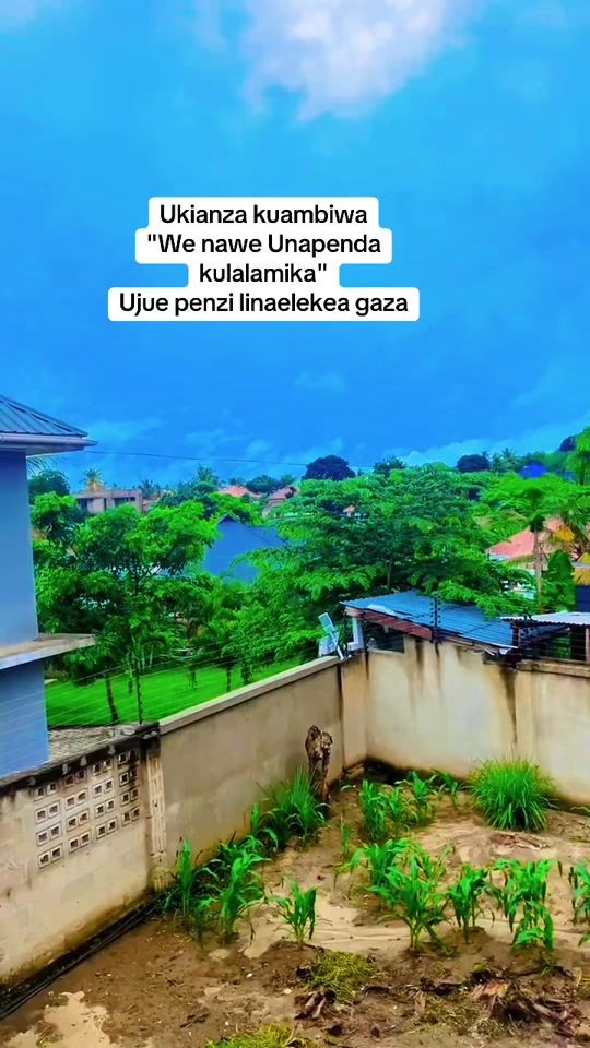 TikTok video thumbnail by modoo_255