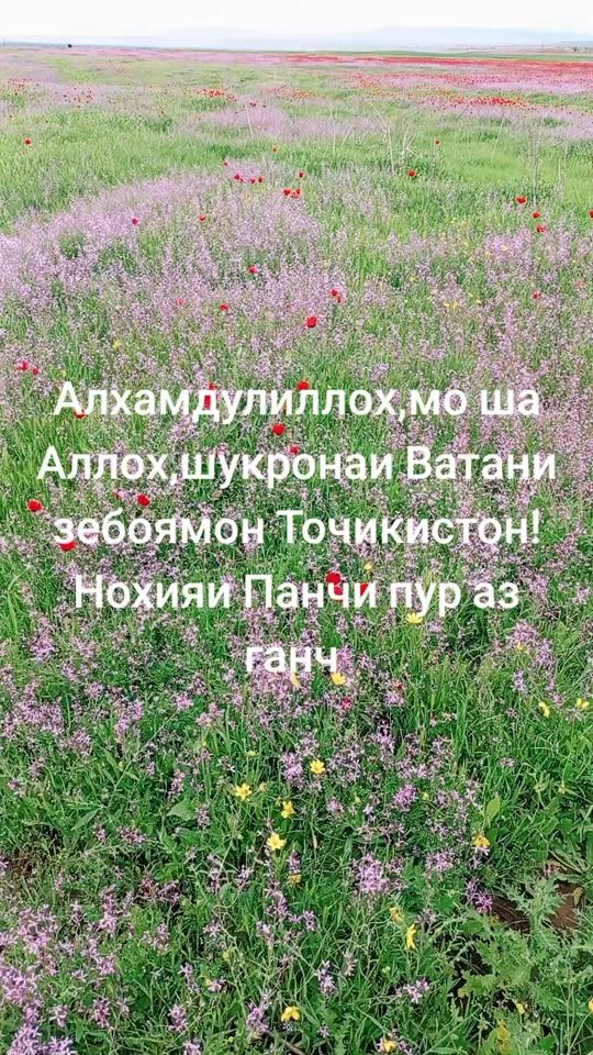 TikTok video thumbnail by user8107318235053
