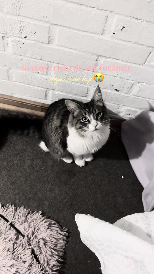 TikTok video thumbnail by fransanmartinnp