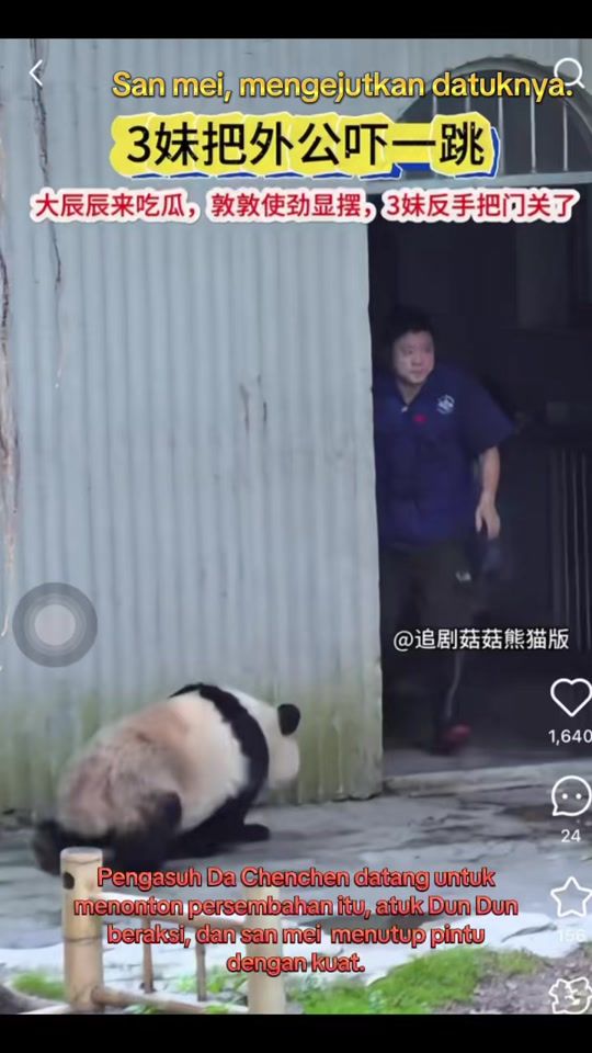 TikTok video thumbnail by lunapanda966