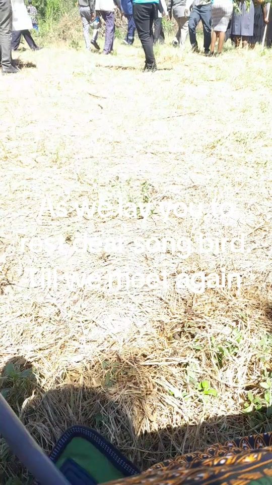 TikTok video thumbnail by rachel.rahele