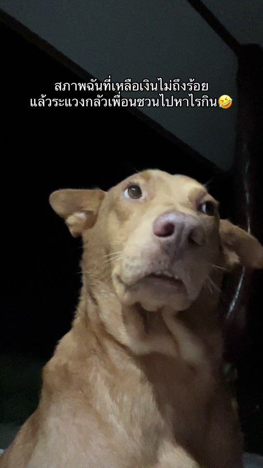 TikTok video thumbnail by pepsiii115