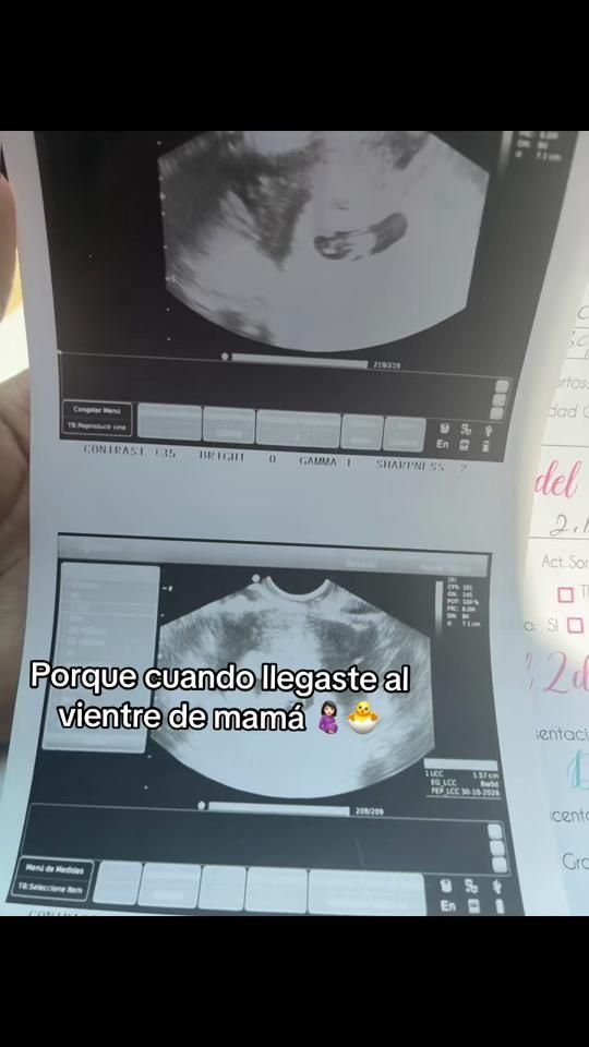 TikTok video thumbnail by sanchezmichell0