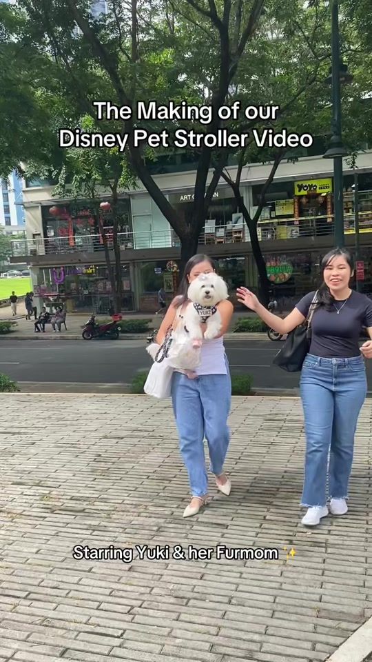 TikTok video thumbnail by barkandspark
