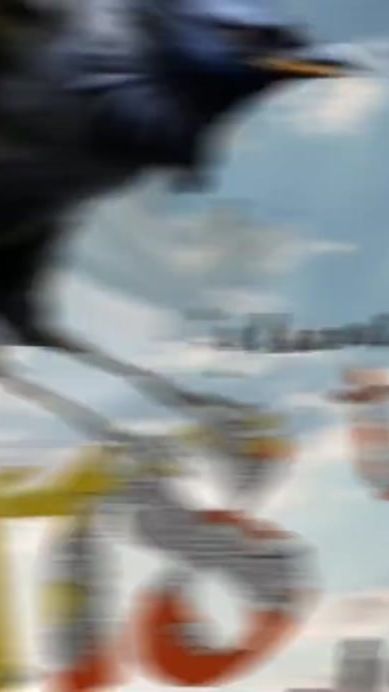 TikTok video thumbnail by pdozer1984