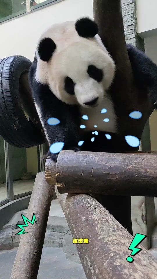 TikTok video thumbnail by user92505729954411