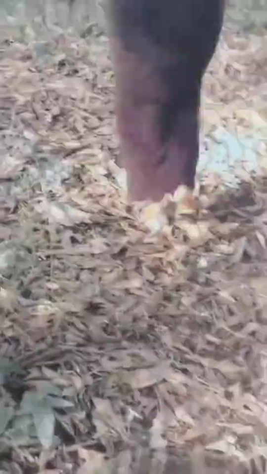 TikTok video thumbnail by ashmina5353