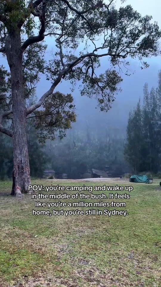 TikTok video thumbnail by sydneyguide
