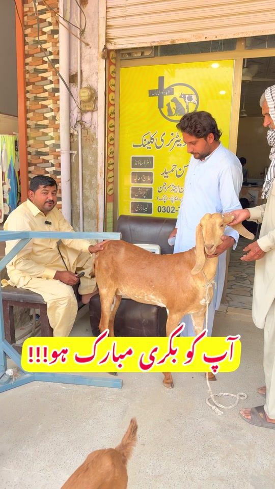 TikTok video thumbnail by vet.dr.mohsin