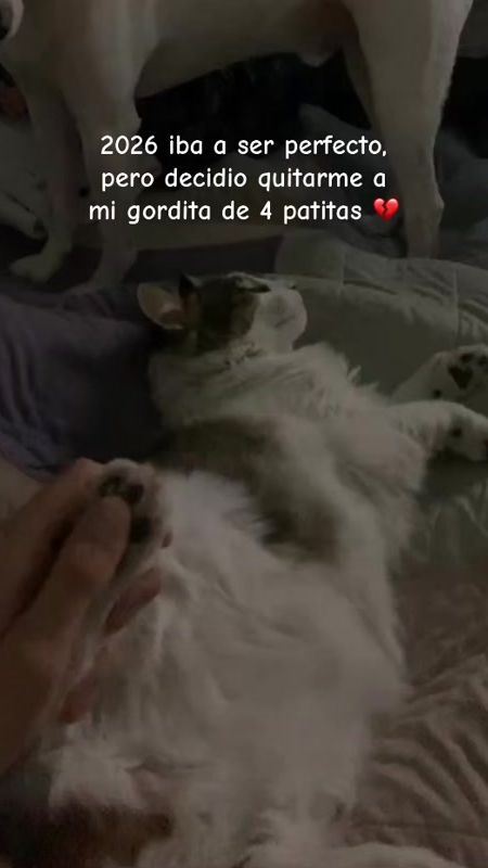 TikTok video thumbnail by tinzitooo