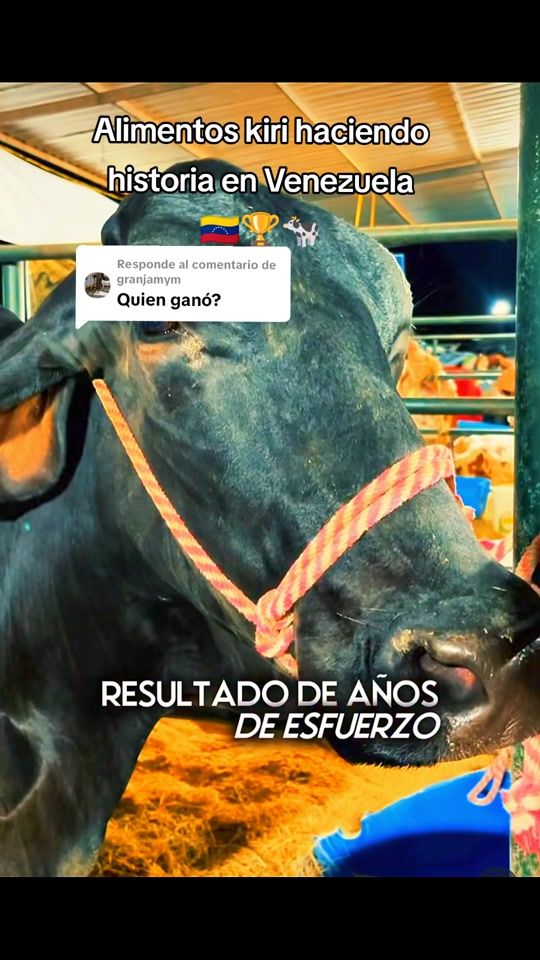 TikTok video thumbnail by francys_leal