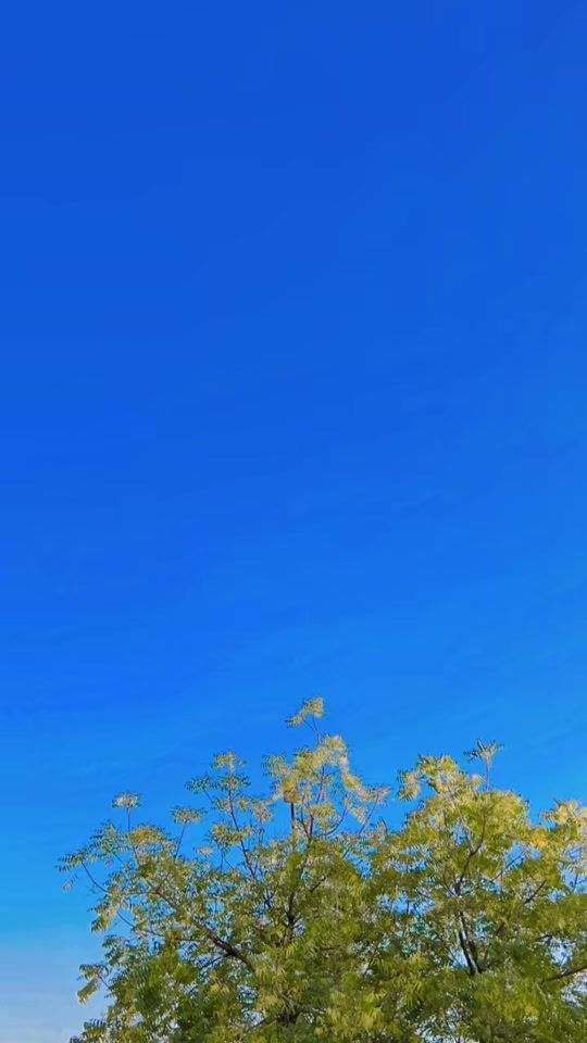 TikTok video thumbnail by kamranmalhar