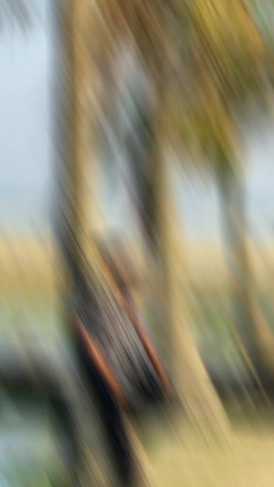 TikTok video thumbnail by joyvlogger0