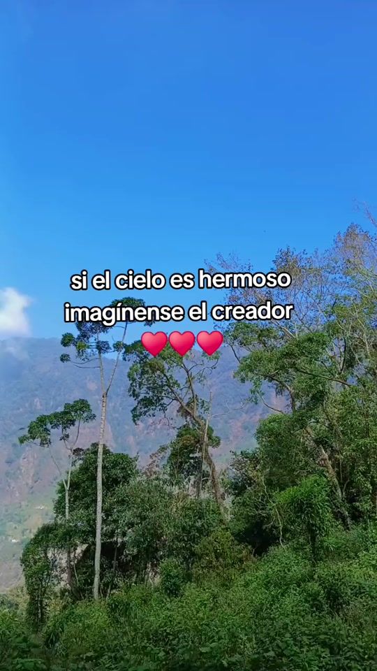 TikTok video thumbnail by lucasrobler0