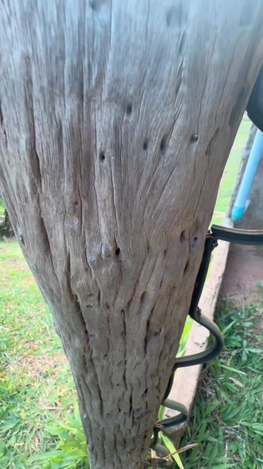 TikTok video thumbnail by .p.hatthaya55