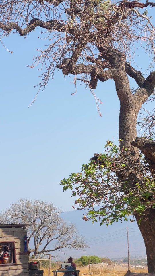 TikTok video thumbnail by zainap_kagisolabulabu