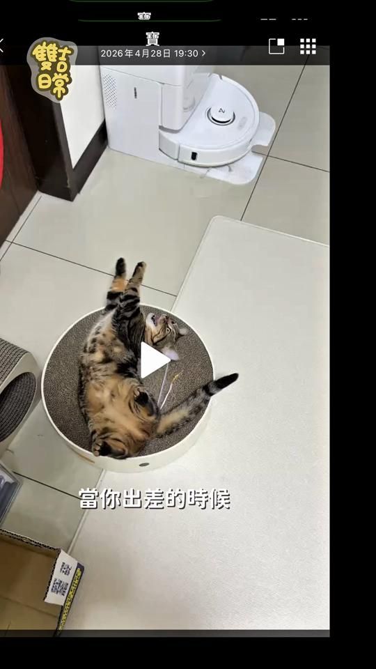TikTok video thumbnail by bogi_0204