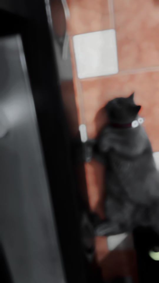 TikTok video thumbnail by kokofier