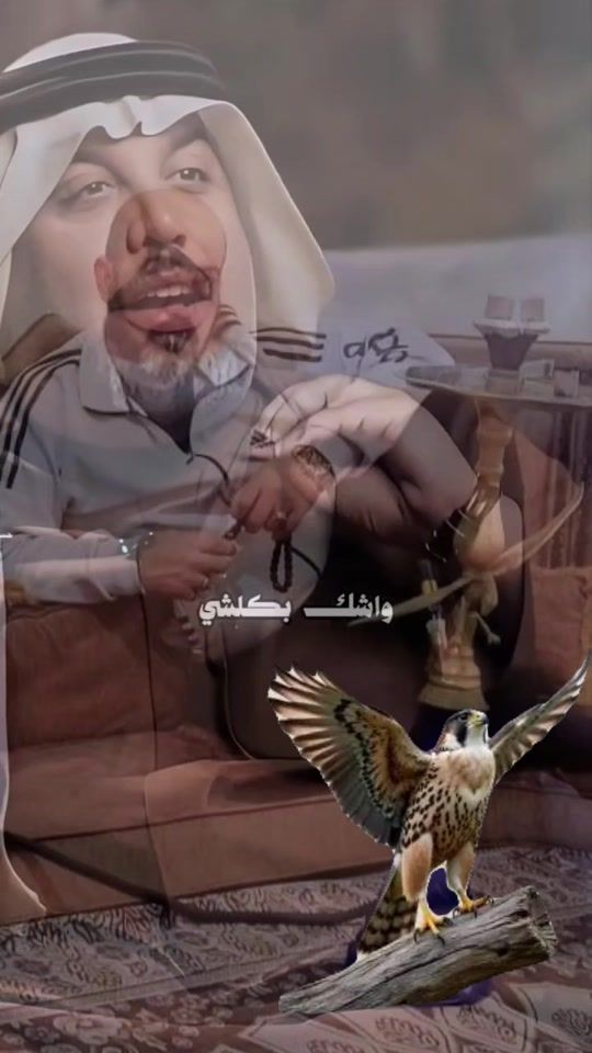 TikTok video thumbnail by abu_amar79