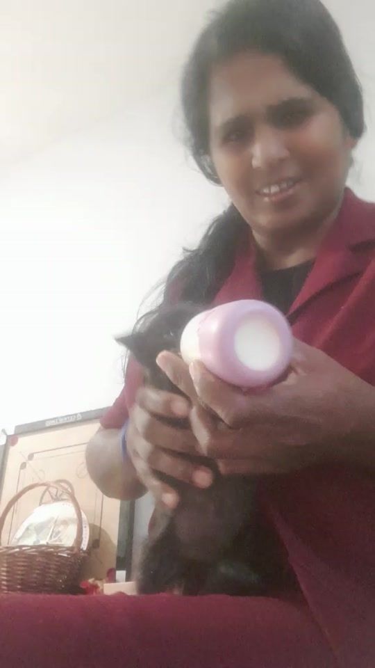 TikTok video thumbnail by pkmp37