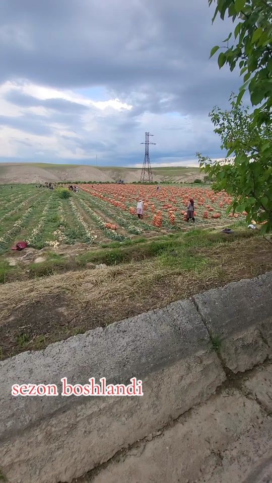 TikTok video thumbnail by jahongirnarziyev500