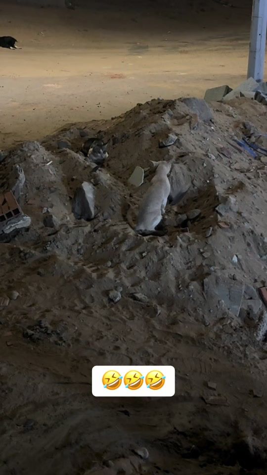 TikTok video thumbnail by xlive.89