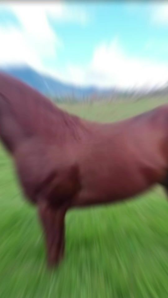 TikTok video thumbnail by fulviacepeda1