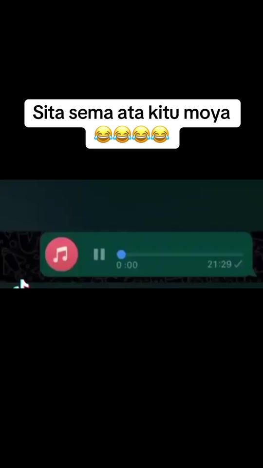 TikTok video thumbnail by reaganmpt