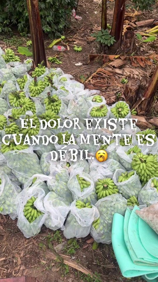 TikTok video thumbnail by 18alonsotelesforo