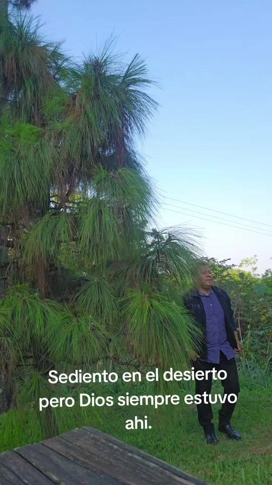 TikTok video thumbnail by el_miguelito83