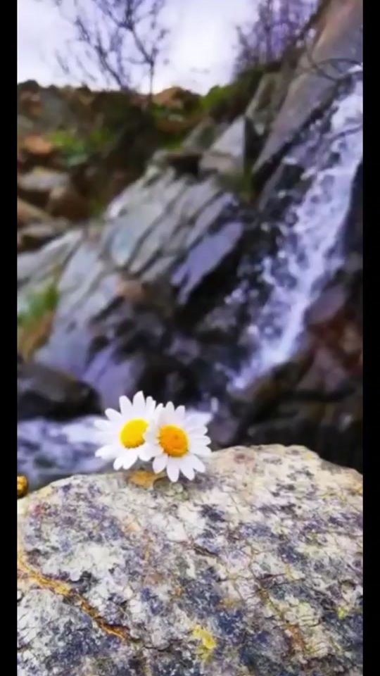TikTok video thumbnail by payizin_etri_33