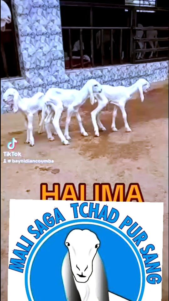 TikTok video thumbnail by user332532285920