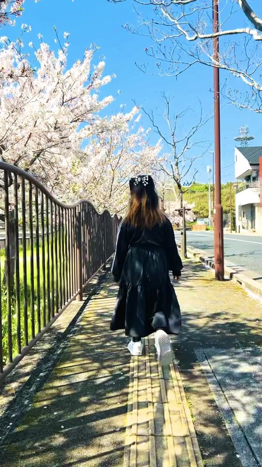 TikTok video thumbnail by kure_ken_tv