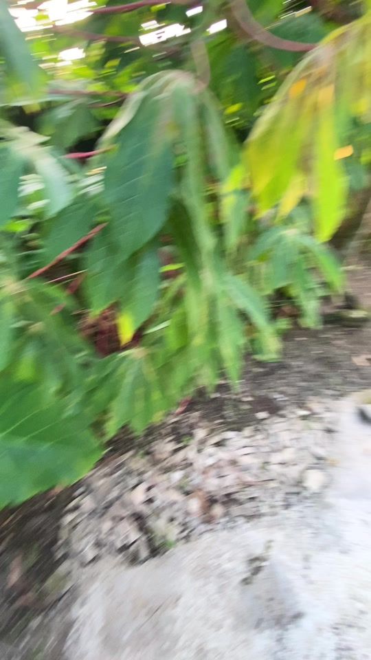 TikTok video thumbnail by ayi_1g