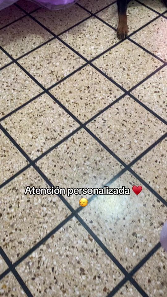 TikTok video thumbnail by rottlovely