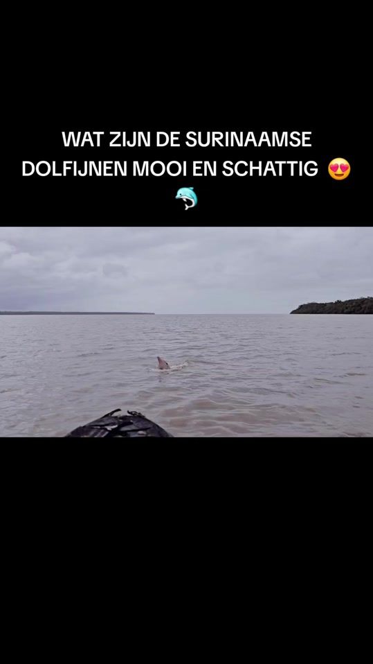 TikTok video thumbnail by pravesh_mathoera
