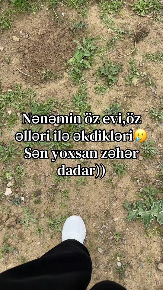 TikTok video thumbnail by hiraeth.018