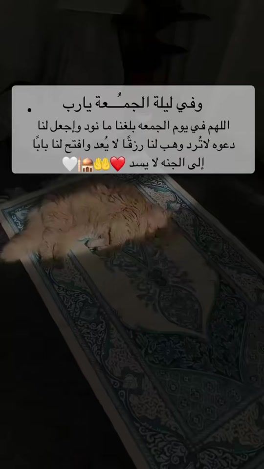 TikTok video thumbnail by mfmfm202