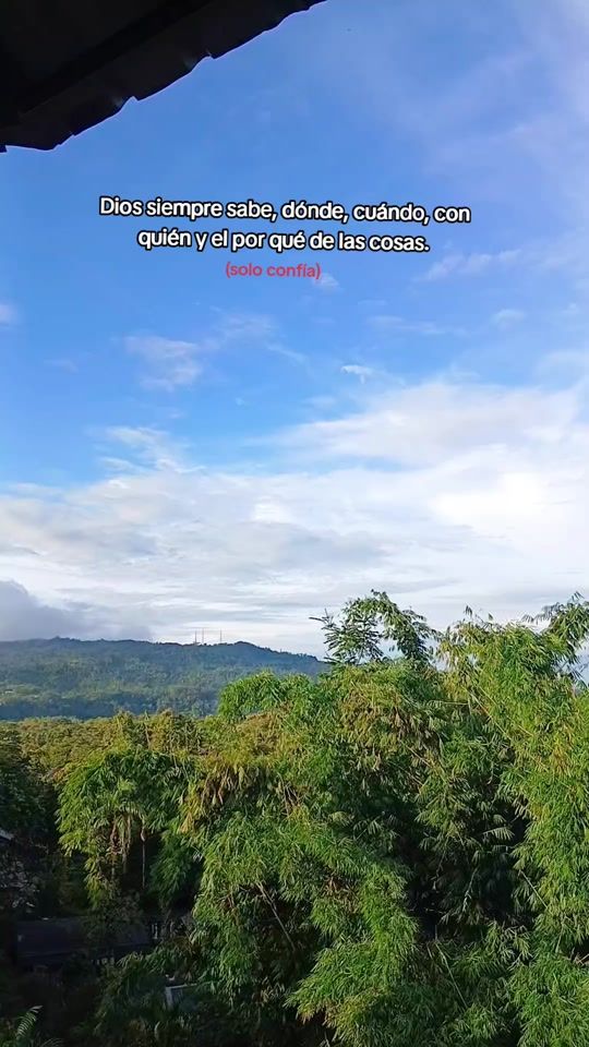 TikTok video thumbnail by _bbbluee_
