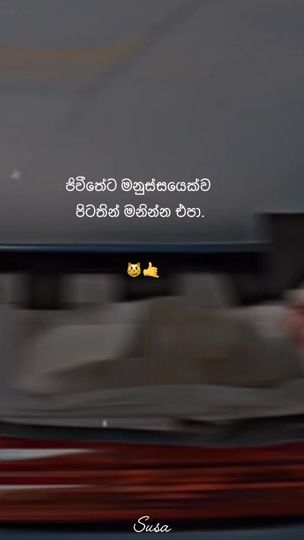 TikTok video thumbnail by susapage