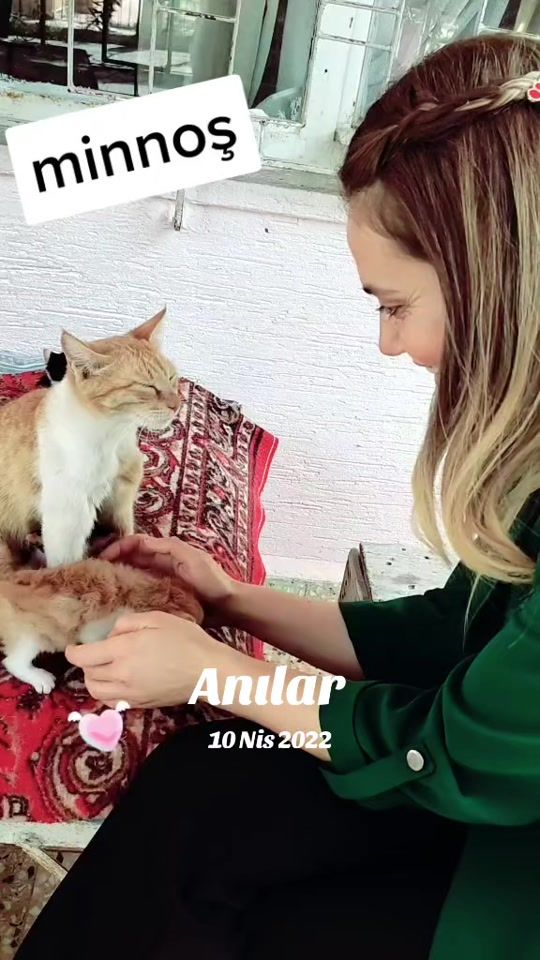 TikTok video thumbnail by hataylizeyno