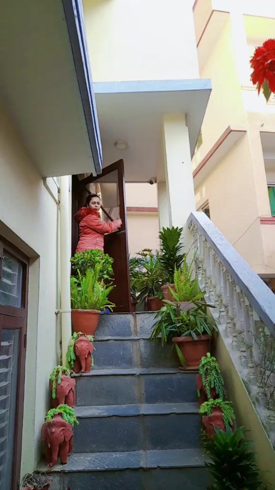 TikTok video thumbnail by pampha_devi_khanal